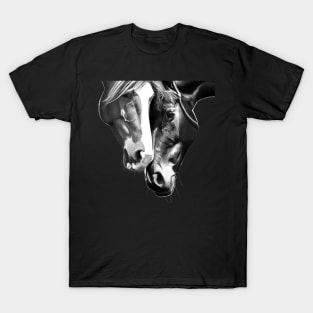 Two Beautiful Horses T-Shirt